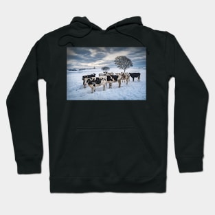 Cows in a Snowy Field with Trees Hoodie